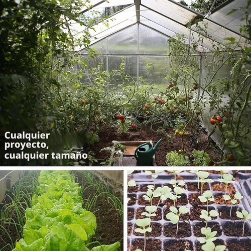Vista 4 de Sustainable Seed Co Semillas de berro orgánico 0.04 oz ~ 780 semillas