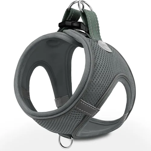 Vista 9 de Joytale Arnés para Perros Pequeños, Chaleco de Malla Transpirable Step-in, Arneses Acolchados Suaves Reflectantes para Gatos y Perros Cachorros