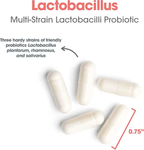 Vista 5 de Allergy Research Group Lactobacillus 100 cápsulas vegetales