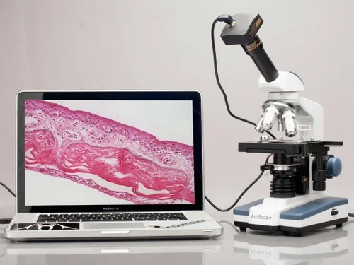 Vista 6 de AmScope Microscopio monocular compuesto M620B, 40x-2000x