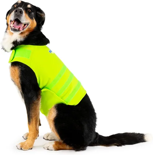 Vista 19 de Camisa Mellow Shirt para calmar la ansiedad de perros, Cypress