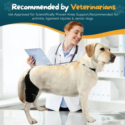 Vista 4 de Rodillera para perro ACL para perro, soporte para pierna trasera para perro ACL con collar adicional y soporte para tratar la artritis