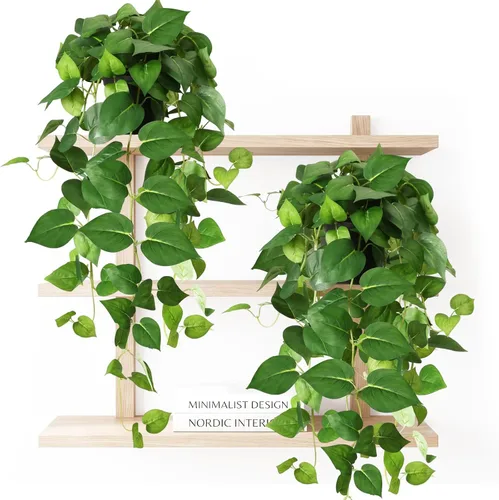 Vista 8 de CEWOR Plantas Artificiales Pothos Falso con Maceta de Plástico Planta Artificial en Maceta para Hogar Oficina Dormitorio Decoración Interior y Verde
