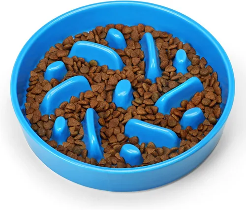 Vista 2 de Cuenco de cerámica para perros de alimentación lenta, 2 tazas de plato de Laberinto - Azul