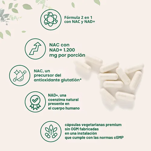 Vista 3 de Micro Ingredients NAC con NAD+, 240 cápsulas vegetarianas 1,200 mg por porción N-acetil-L-cisteína 2 en 1 con nicotinamida adenina dinucleótido