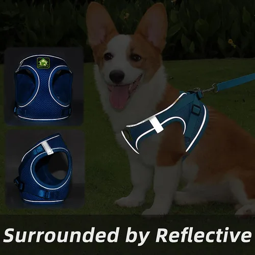 Vista 4 de Juego de arnés y correa para perros pequeños, arnés reflectante ajustable sin tirones, arnés transpirable suave para cachorros y perros pequeños