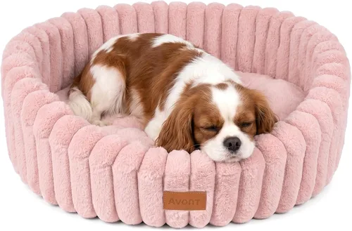 Vista 13 de Avont Cama para gatos de interior, esponjosa y lavable con borde elevado Gris