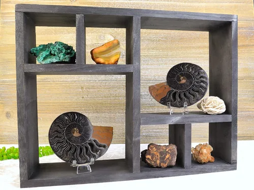Vista 2 de Shelf & Stone - Mini estante de exhibición de fósiles y cristal (gris) - Estante rústico montado en la pared para decoración de granja para fósiles