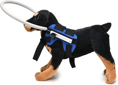 Vista 4 de GabeFish Arnés de anillo para perro ciego, anillo ciego ligero para mascotas, protector de golpes para perros ciegos, azul, pequeño