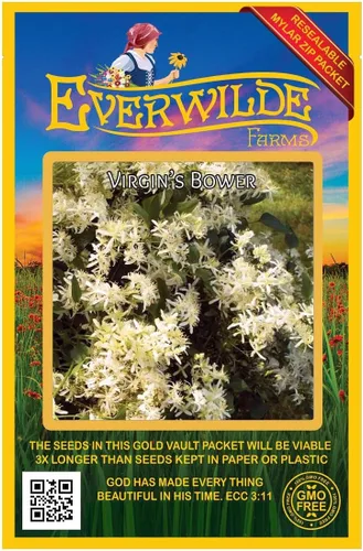 Vista 5 de Everwilde Farms - Semillas de flores silvestres nativas Virgin's Bower de 1 onza - Gold Vault