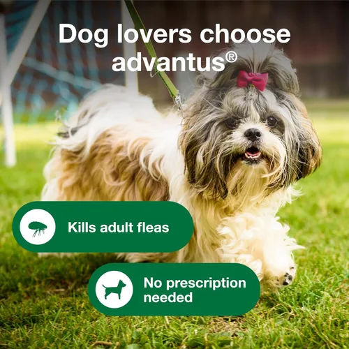Vista 4 de Advantus Tratamiento oral antipulgas de acción rápida para perros, masticables suaves para perros de 4 - 22 lbs. 7 unidades.