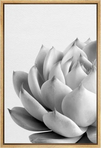 Vista 32 de Lienzo enmarcado para pared, diseño de rosa del desierto con pinchos, plantas florales suculentas, fotografía, arte moderno, primer plano
