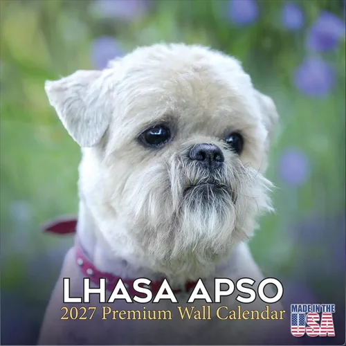 Vista 45 de Calendario de Lebrel Afgano 2025 2026, calendario mensual de pared de raza canina, 12" x 18" abierto, papel grueso sin traspaso, ideal para regalo