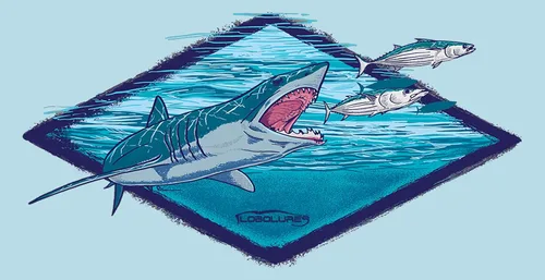 Vista 12 de Lobo Lures Blue Marlin Chasing Lure Mahi Mahi Big Game Sport Fishing Vanity Placa de matrícula frontal Fabricado en los Estados Unidos