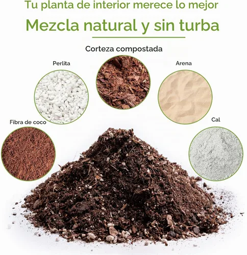 Vista 2 de Perfect Plants - Suelo para plantas de interior, 4 cuartos de galón, mezcla para macetas de coco
