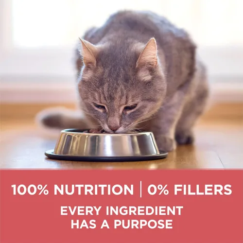 Vista 7 de Purina ONE Alimento Natural para Gatos Bajo en Grasa, Alimento Seco para Control de Peso en Interiores Alto en Proteína Más Ventaja para Interiores