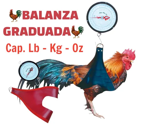 Vista 4 de Báscula colgante con bolsa de apoyo para pesar gallos - Báscula graduada para pesar gallos Bascula Graduada para pesar Aves