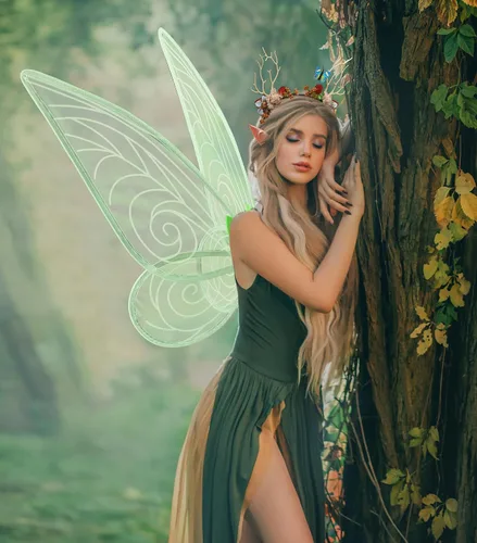Vista 3 de Alas de hada, alas de hadas transparentes brillantes para adultos, mujeres y niñas, disfraz de Halloween con orejas de elfo y corona de flores