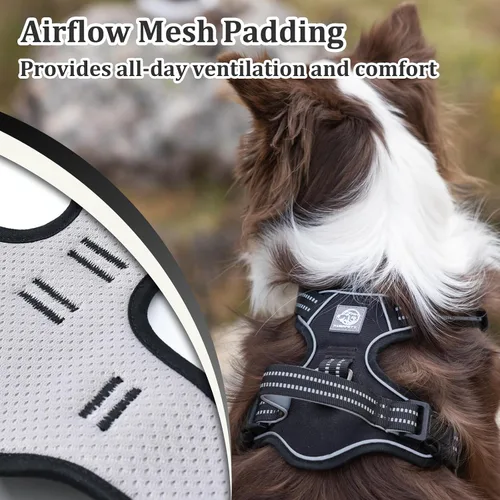 Vista 4 de Arnés de chaleco para perros - Acolchado ajustable reflectante con diseño fácil de poner y accesorio de correa (S, negro)