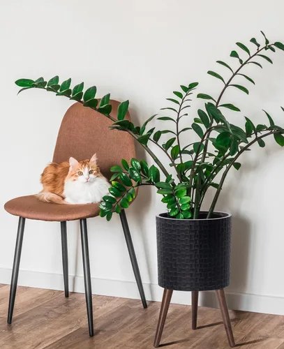 Vista 5 de D'vine Dev Maceta Elegante con Patrón de Azulejos Geométricos Modernos de 12 Pulgadas con Soporte, Portamacetas Decorativo para Interiores