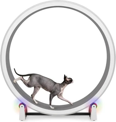 Vista 13 de One Fast Cat - Rueda de ejercicio para gatos, fabricada en los Estados Unidos, 48 pulgadas de diámetro, Gen. 7