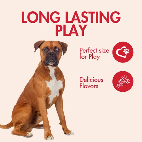 Vista 6 de SPOT by Ethical Products - Varilla trenzada de bambú, anillo, juguete triple masticable, juguetes para perros con sabor a nogal y bisonte, compras