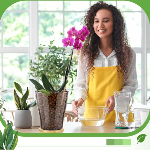 Vista 5 de Macetas de orquídea de vidrio con agujeros y bandeja de bambú con control de nivel de agua Maceta de vidrio transparente semi hidropónica con raíces