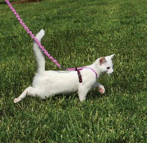 Vista 2 de Arnés y correa para gatos de Come With Me Kitty., S, Dusty Rose Adjustable 2-Point Fit Applies Gentle Pressure to Shoulders, Not Neck, for Kittens