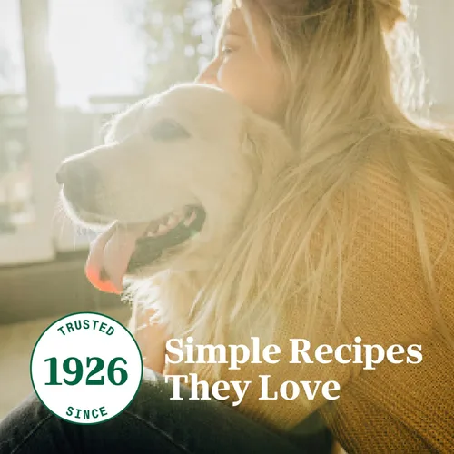 Vista 10 de Nutro So Simple Complemento de comida húmeda para perros, receta de pollo en caldo de huesos, bandejas de 2 onzas (10 unidades, paquete de 1)