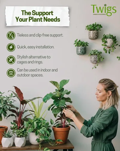 Vista 2 de Twigs GA - Estacas de soporte para plantas para uso en interiores y exteriores, alternativa duradera de enrejado para plantas trepadoras