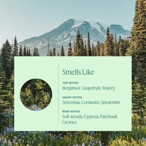 Vista 3 de Aera Mini Cypress & Juniper - Recambio de cápsula de fragancia de aceite esencial fabricado con tecnología OdorOut - Notas de romero, pomelo