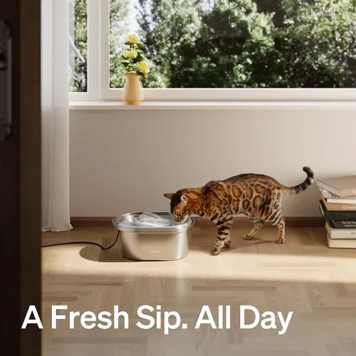 Vista 7 de PETLIBRO Stainless Steel Cat Water Fountain, 101oz/3L Automatic Water Dispenser for Cats Indoor, Quiet Pet Water Dispenser with 2 Filters