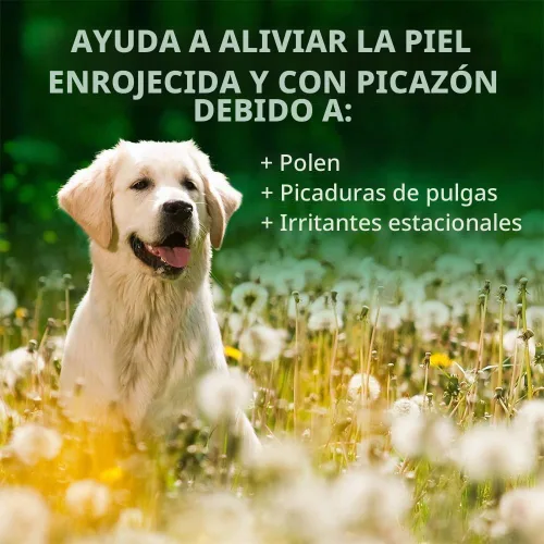 Vista 4 de Vet's Best, Champú de Perros para la Picazón Alérgica, 16 onzas