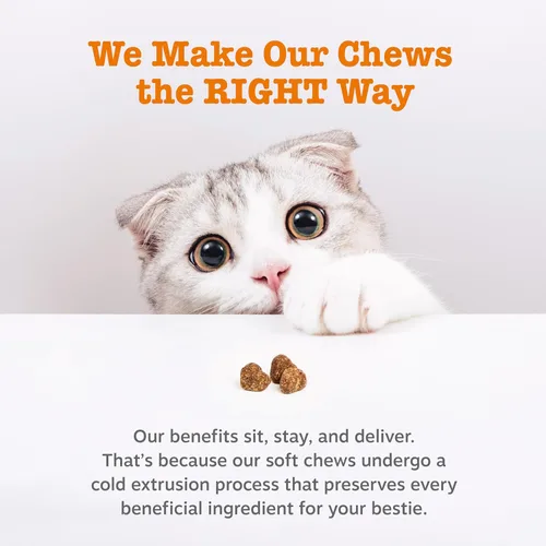 Vista 5 de Zesty Paws Alivio de Alergias para Gatos - Suplemento Antipicazón - Omega 3 Probióticos - Aceite de Salmón para la Salud Digestiva - Masticables
