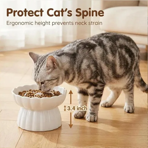 Vista 7 de Comedero lento de cerámica para gatos, cuenco elevado para gatos, antivómitos y bigotes, no tóxico Blanco