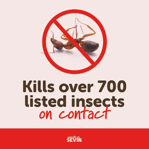 Vista 7 de Sevin Insecticida Listo para Usar 32 oz Mata al contacto, más de 700 insectos listados, espray de control de plagas, agita y rocía