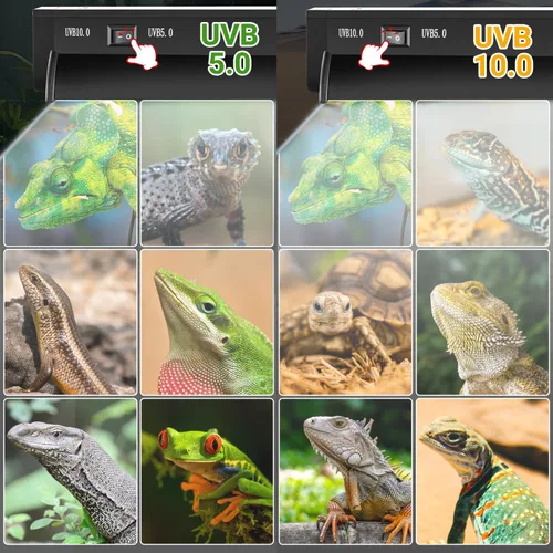 Vista 2 de Luz UVB conmutable para reptiles, 24W T5 UVB Kit combinado de luz para Tropical 5.0 y Desert 10.0, lámpara de campana de terrario de 22.6 pulgadas