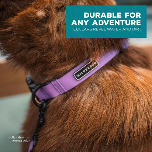 Vista 5 de Collar de perro impermeable Wilderdog – Repele el agua y la suciedad - Pequeño 11"-15" - Aurora