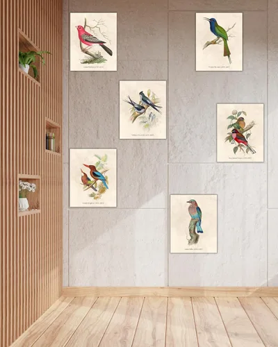 Vista 5 de Nilem Design Arte de pared vintage de pájaros, juego de 6 impresiones sin marco de 8 x 10 pulgadas, carteles de ilustración de naturaleza antigua
