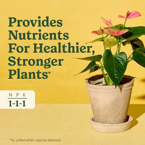 Vista 4 de Miracle-Gro - Alimento para plantas de interior para todas las plantas, 8 onzas líquidas (paquete de 2)