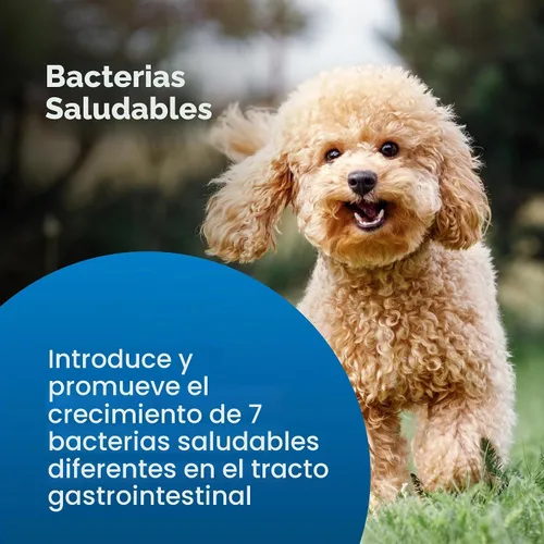 Vista 6 de PetAg Bene-Bac® Plus Pet Gel, FOS Prebiótico y Probiótico 15 gm.