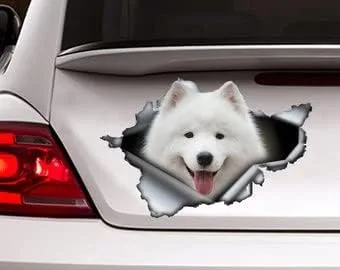 Vista 29 de Calcomanía roja de perro salchicha de pelo largo, calcomanía para mascotas, calcomanía de perro salchicha rojo, calcomanía de vinilo para perro