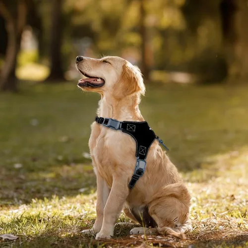 Vista 7 de Arnés magnético para cachorros y correa con hebilla de liberación rápida, fácil de poner y quitar, arnés de perro de piel sintética y correa