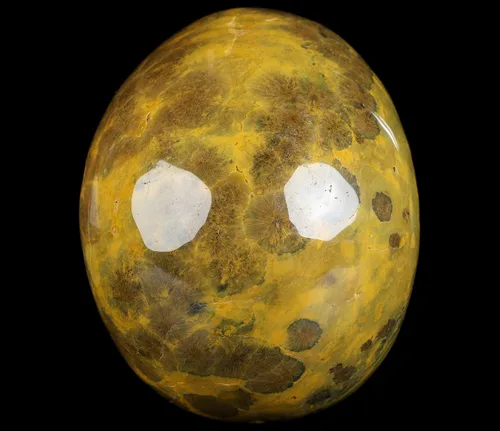 Vista 5 de Skullis Calavera de cristal de jaspe oceánico, escultura de arte fino de piedras preciosas talladas a mano, estatua de piedra curativa de Reiki.3208