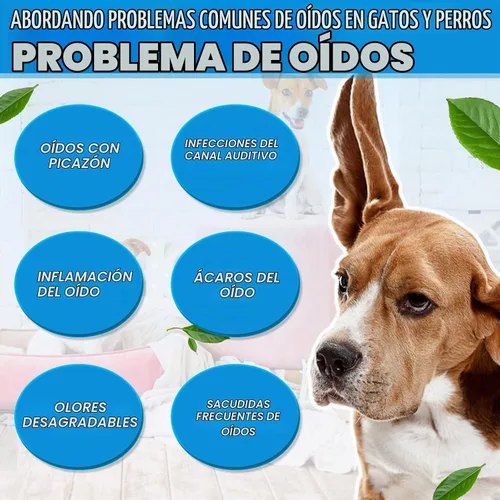 Vista 8 de Gotas de tratamiento de infección de oído de gato y perro, infecciones de oído de perro con hidrocortisona al 1%