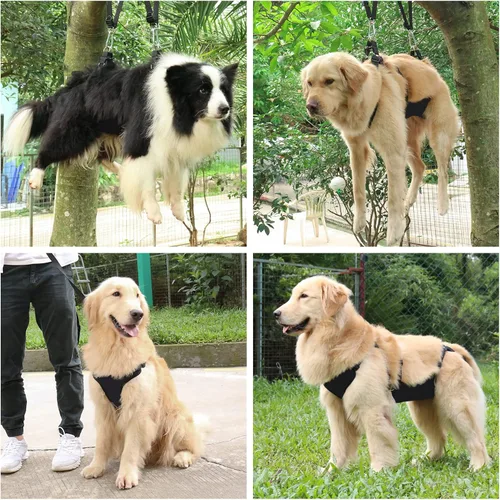 Vista 8 de Hamaca de aseo para perros 2 en 1 con correa multifunción, arnés sin tirones, bucle ajustable y ganchos de acero inoxidable, para gatos y perros