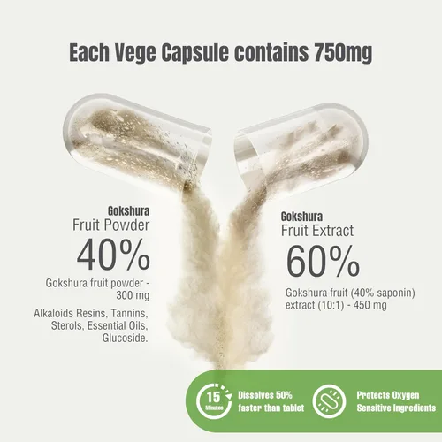 Vista 2 de Herbsforever Gokshura Cápsulas – Tribulus Terrestris – Saponina 30% – Apoyo urinario Resistencia y Energía Masculina – 60 Cápsulas Vege – 750 mg