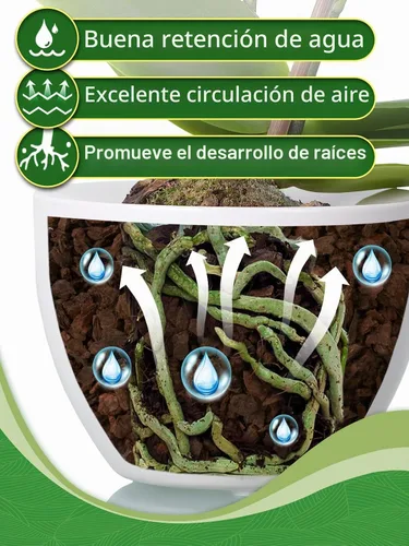 Vista 4 de Corteza de orquídea de pino de Nueva Zelanda de 8 cuartos – 1/2-3/4 pulgadas de mantillo orgánico secado al sol, medio transpirable para plantas