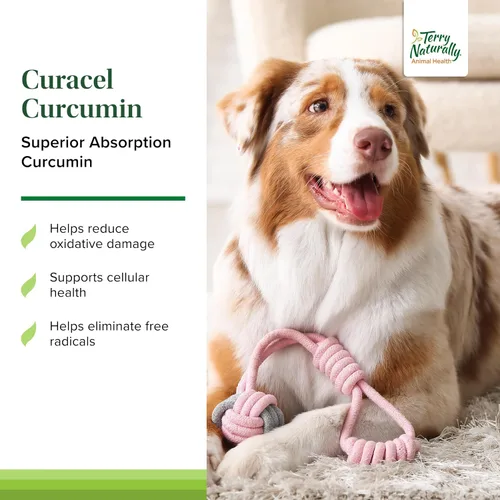 Vista 3 de Terry Naturally Animal Health Curacel Curcumina - Antioxidante - 60