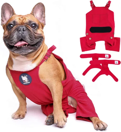 Vista 8 de iChoue Lindos pañales para perro con tirantes para bulldog francés, pug francés, bulldog inglés, hembra, en ciclo de calor, azul, pequeño con 1 pañal